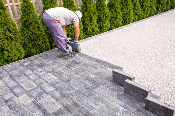 Best Driveway Repair Near Me  in Cloverleaf, TX